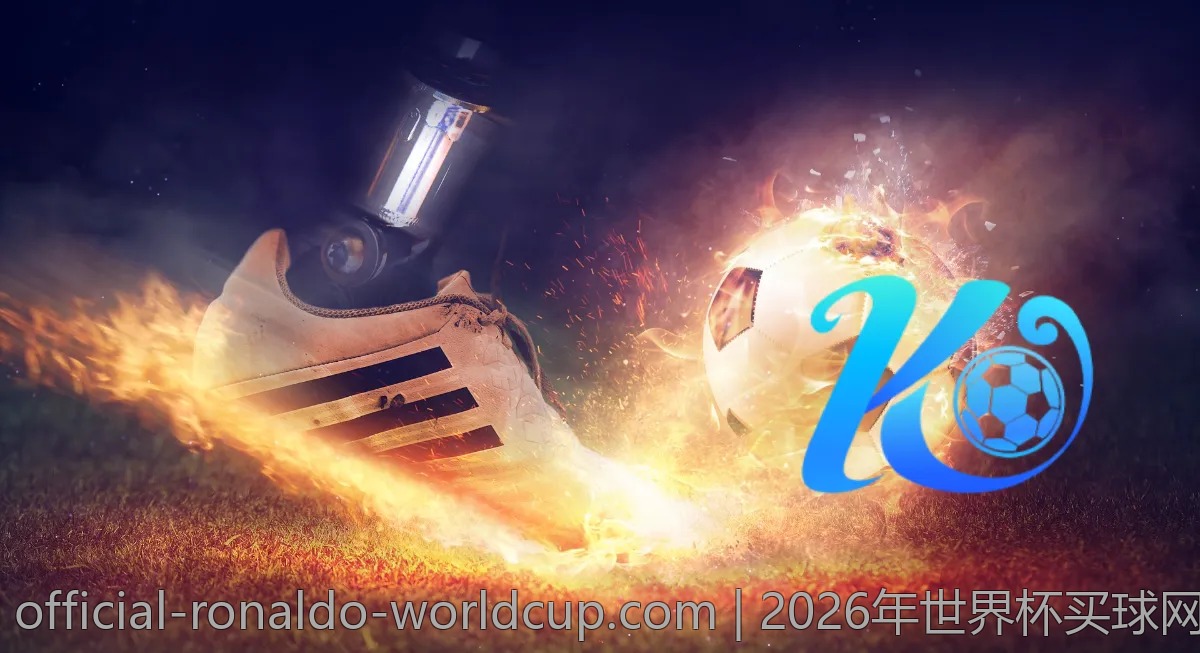 2026年世界杯买球网站排行榜，看看哪家最火