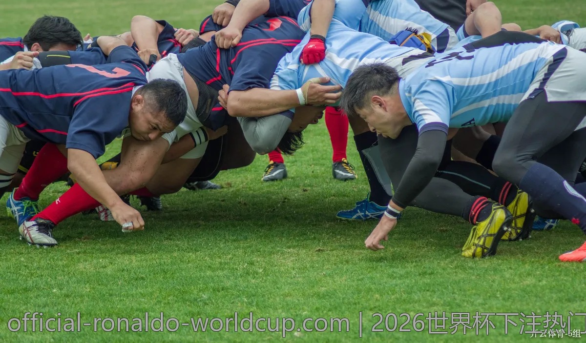 2026世界杯下注热门平台推荐，速来围观！