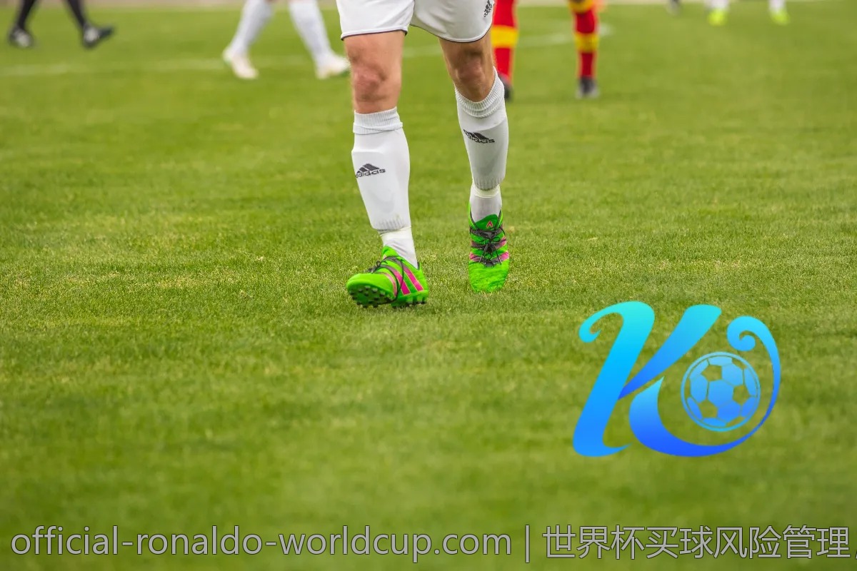 世界杯买球风险管理，教你如何合理分配资金