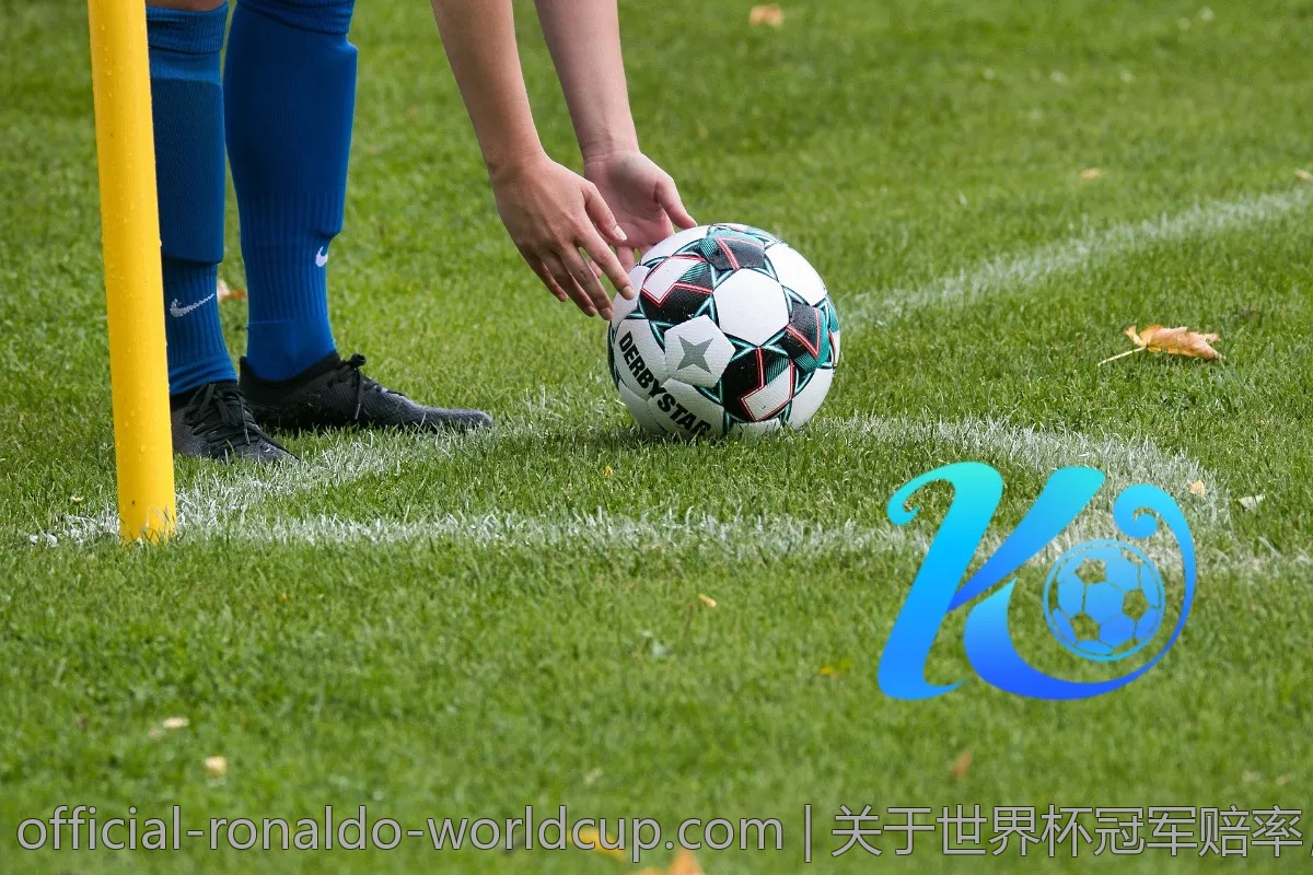 关于世界杯冠军赔率，这些你不能不知道的事