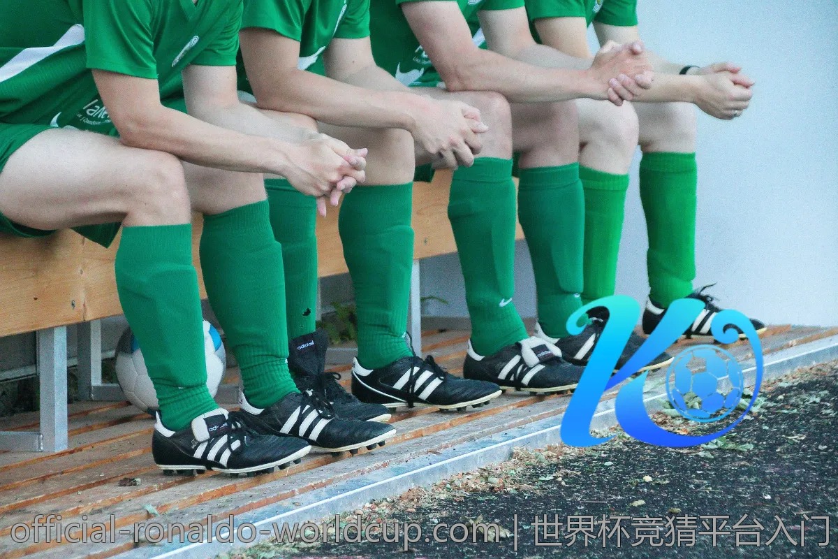 世界杯竞猜平台入门：新手要知道的几点